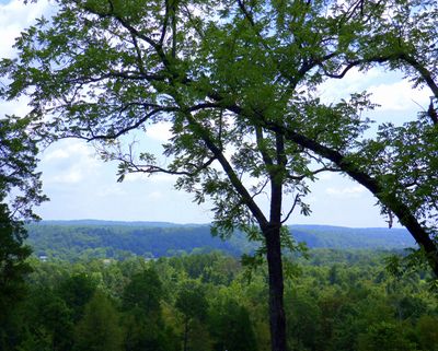 Activities | Belmont Inn B&B